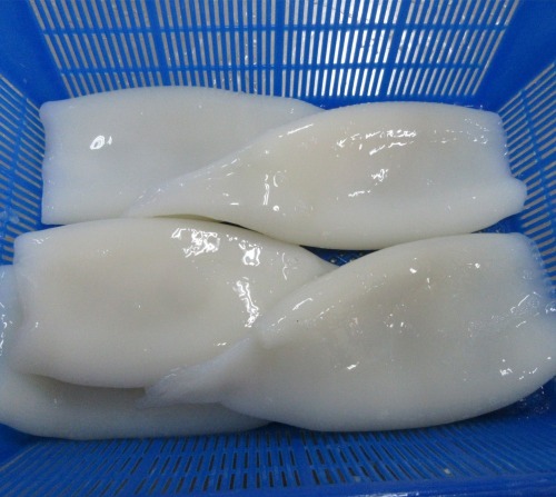 Frozen squid tube U5 Todarodes Pacificus