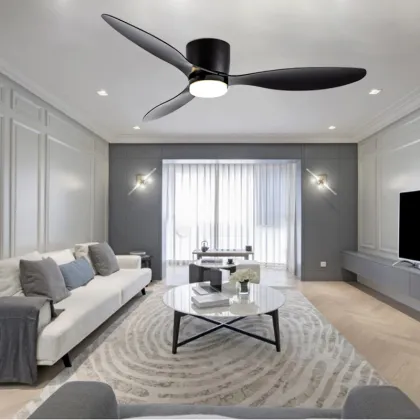 Factory Direct Inverter Fan with 6 Speeds Adjustable LED Lighting and Detachable Main Light