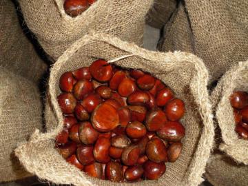 High Quality Good Tasty Fresh Chestnut