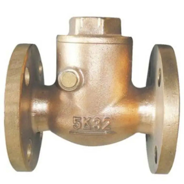 Flange brass check valve