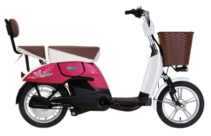 Liying Yt-Eb-002/Electric Bicycle