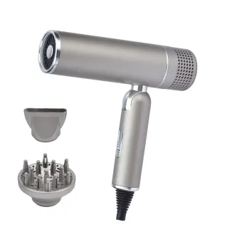 2025 New Fashion Household DC Motor Blower Cool Hot Wind Electric Hair Dryer for Quick Drying