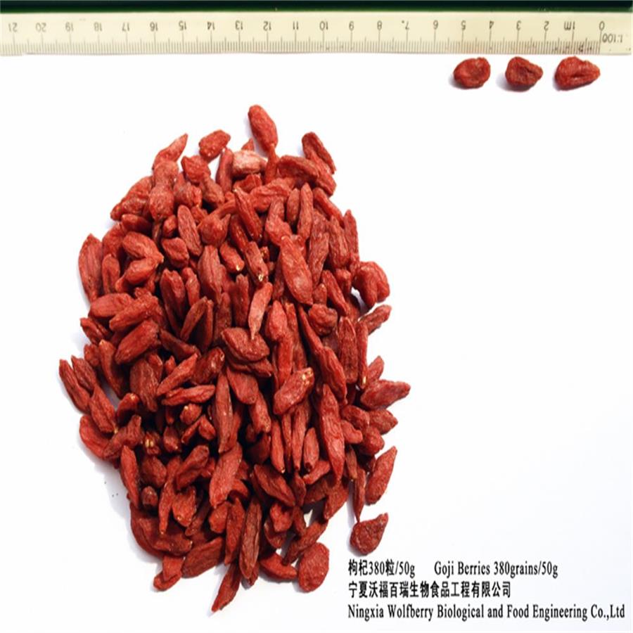 低価格トップグレードNingxia goji berry / wolfberry