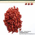 low Price Top grade Ningxia goji berry/wolfberry