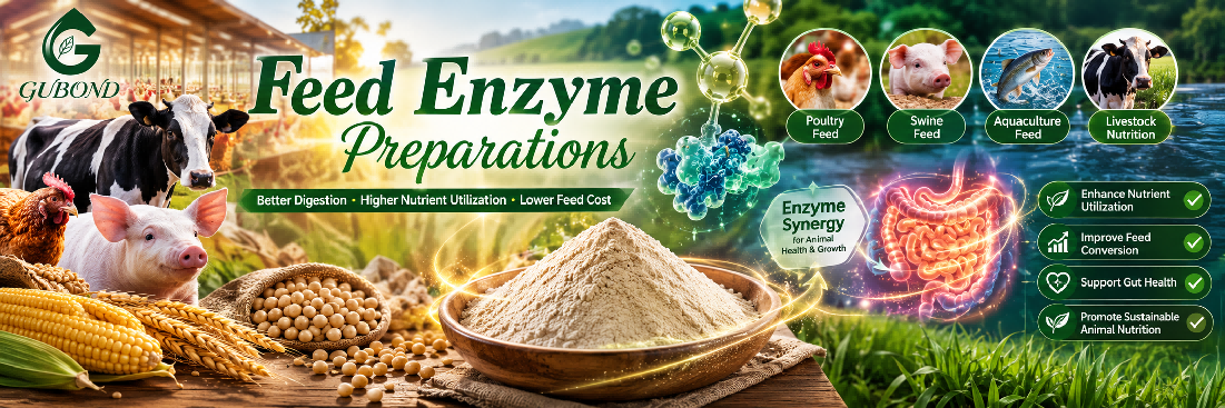 Feed enzyme preparations