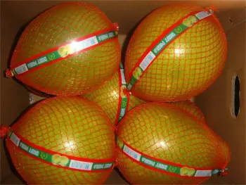 Hotsale Fresh Pomelo with Good Taste