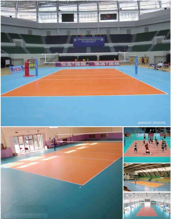 VOLLEYBALL COURTS CASES