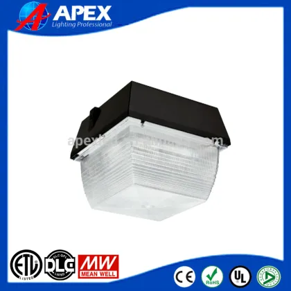 RAB vandalproof led ceiling mount fixture garage lights