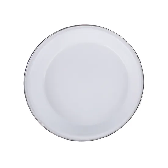 Stainless Steel Dinner Plate