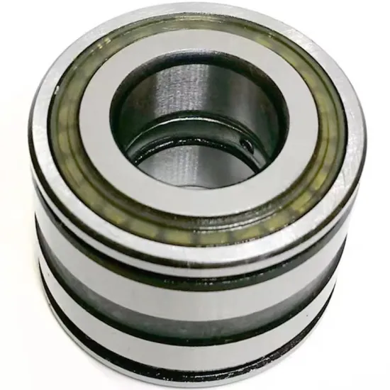 SL045005-9 Double Row Cylindrical Roller Bearings with Stops