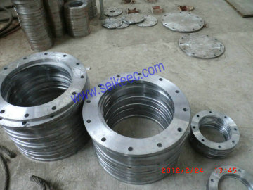 Carbon steel,Alloy steel flanges,forgings