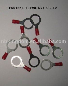 # RV2-12 Terminal &amp; Stecker