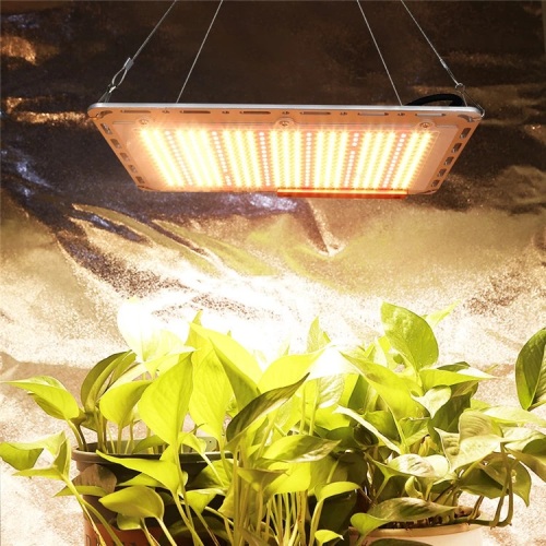 Quantum led board samsung LM301B 120w grow light