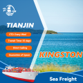 Spedizione da Tianjin a Kingston