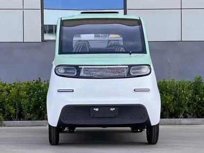 Electric four-wheel mobility vehicle