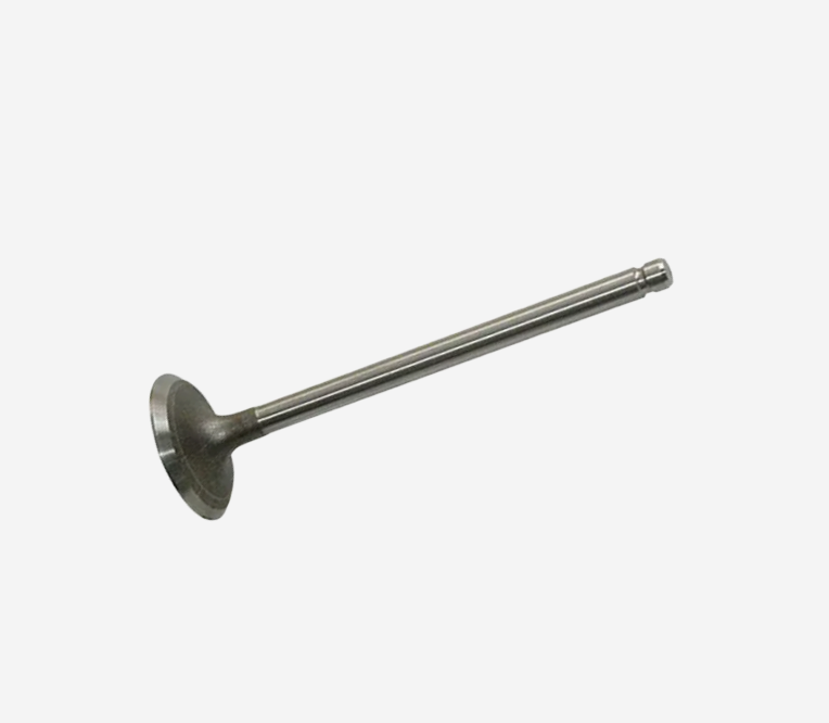 Intake Valve for Engine4926069