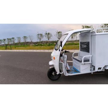 Electric tricycle for daily loads and cargo