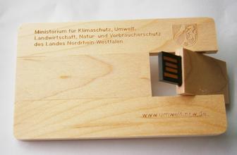 popuar 2gb wood card usb flash drives