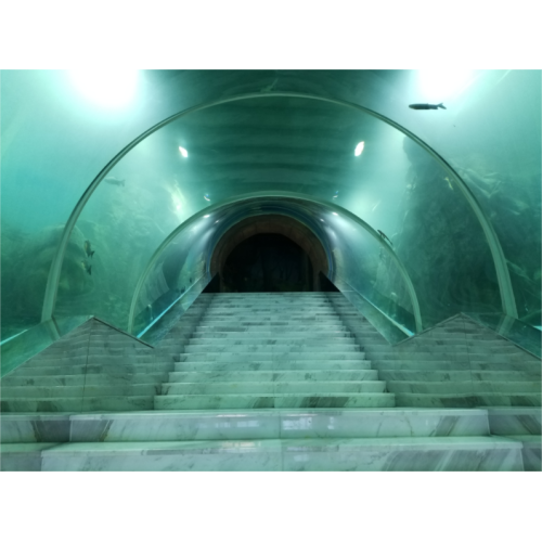 Tunnel d&#39;aquarium en acrylique grand client de luxe