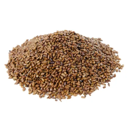 Cassia seed extract for sale