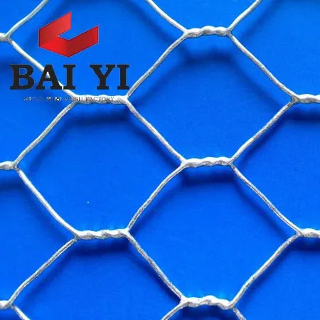 Hexagonal Iron Wire Mesh Netting