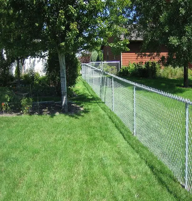 Security Wire Mesh Iron Metal Farm Fence