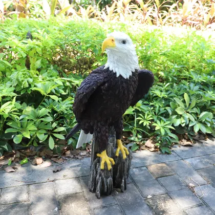 Wholesale Life Size Resin American Eagle Statues for Garden Decoration