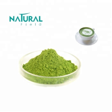 Water Soluble Wheat Grass Juice Powder