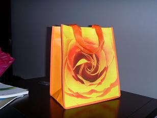 shopping bag