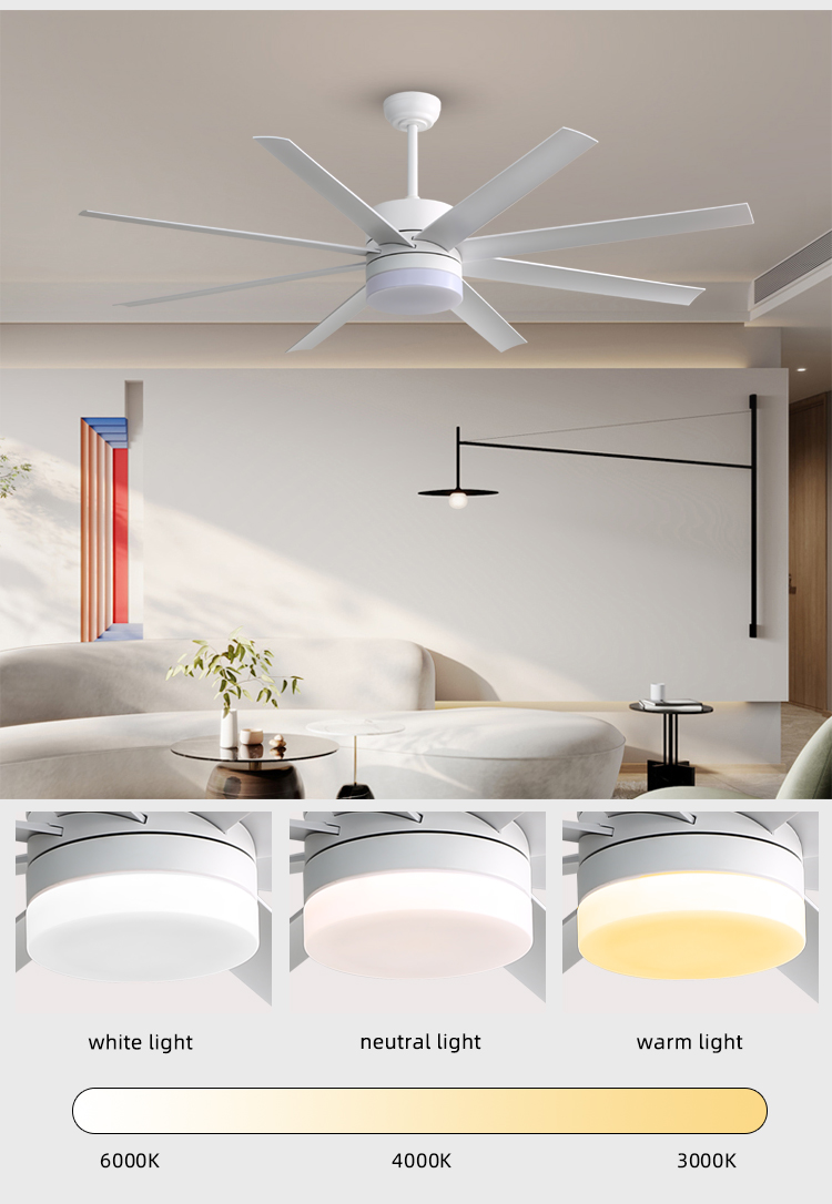 ceiling fan with light