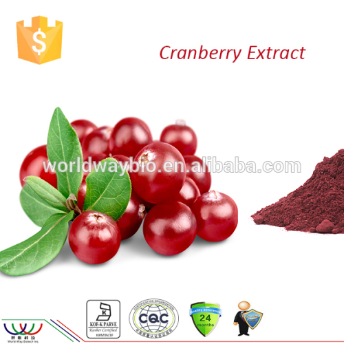 China factory with FDA cGMP HACCP KOSHER certified cranberry extract with 20% anthocyanin 25% Proanthocyanidin