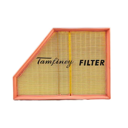 Bmw E70 Air Filter X5 4.8i 07 08 09 Mann Left C 3090 New ,13 71 7 548 897 