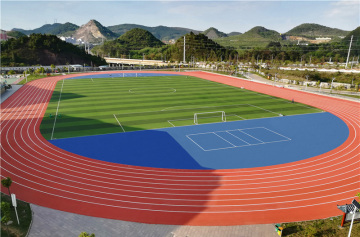 9mm 13mm Prefabricated Runway Pro Athletic Track