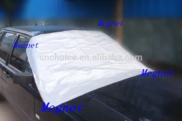 Perfect Windshield Cover
