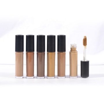 Hochwertiger wasserdichtes mattes Concealer mit Ihrer eigenen Marke