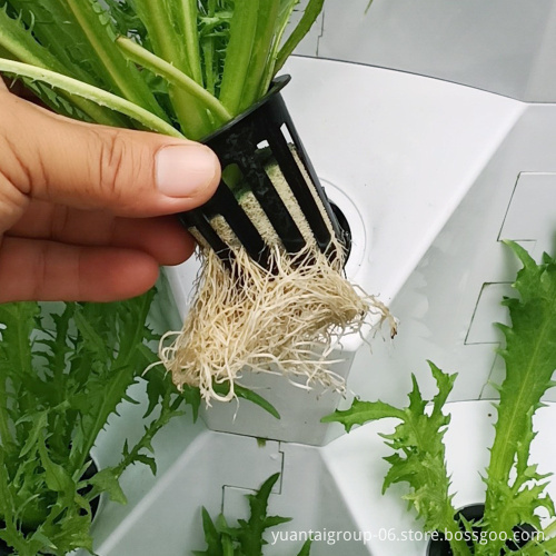 Three-dimensional Pineapple Tower Soilless Gardening for Balcony Vegetable Farming in Agricultural Greenhouses