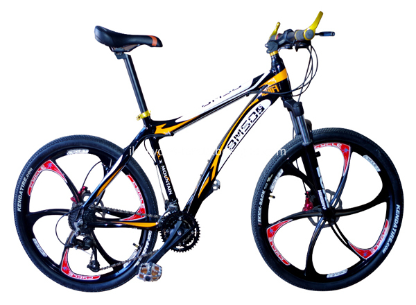 Jenis basikal mountain bike discount