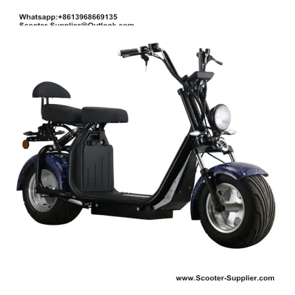 citycoco électr scoot 2000w citycoco europalager