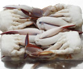 Makanan laut kepiting renang potong beku