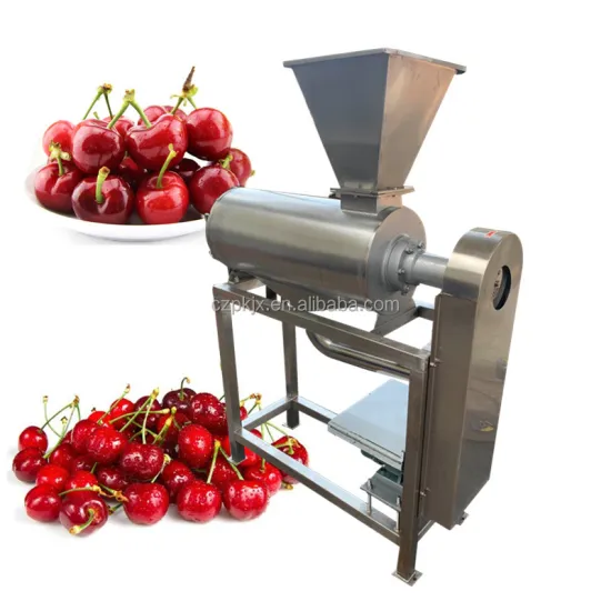 Single Channel Fruit Pulp Processing Machine - Tomato Pulping Machine