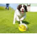 pet food dispenser