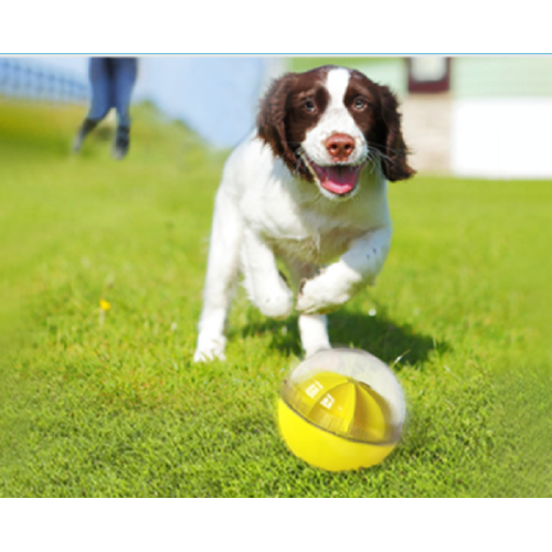 dispensador de alimentos para mascotas