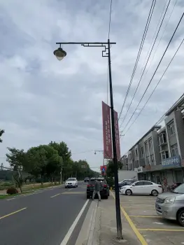 Customizable Finished street lamp