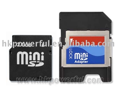 2GB Mini SD card