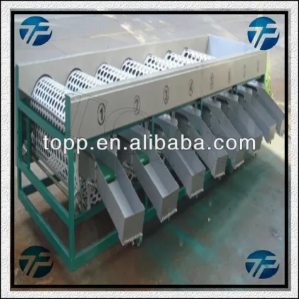 Big Capacity Fruit Vegetable Sorting and Grading Machine