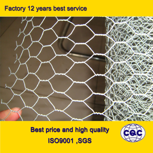 Hexagonal Wire Mesh/Galvanize Hexagonal Wire Mesh /Chicken Wire Mesh