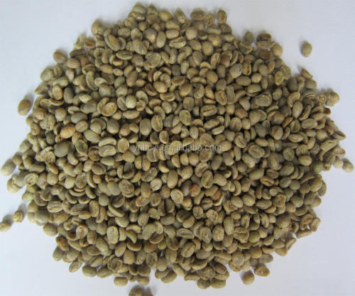 polished arabica green coffee beans