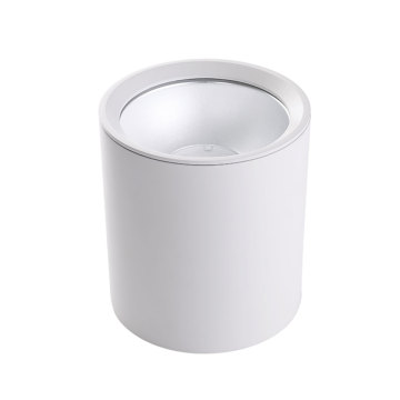 Cylinder Dimmable Suspended Downlight Surface