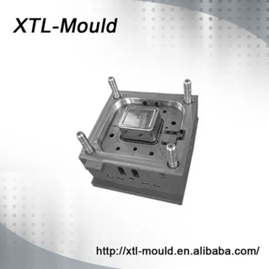 Food Grade PP Food Container Mould Injection
