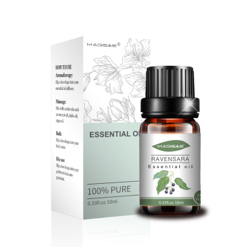 wholesale fragrance 100%pure Organic Ravensara Essential oil